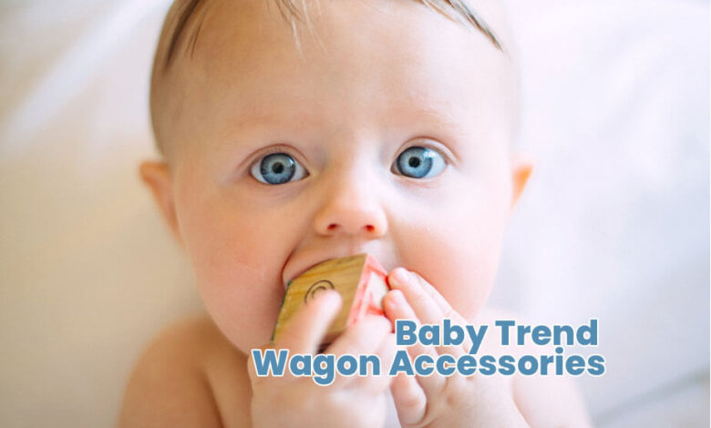 Baby Trend Wagon Accessories