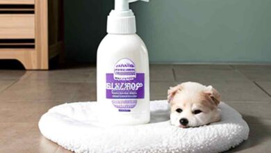 can you use baby shampoo on dogs